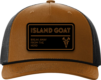 Aloha 2.0 Snapback Hat